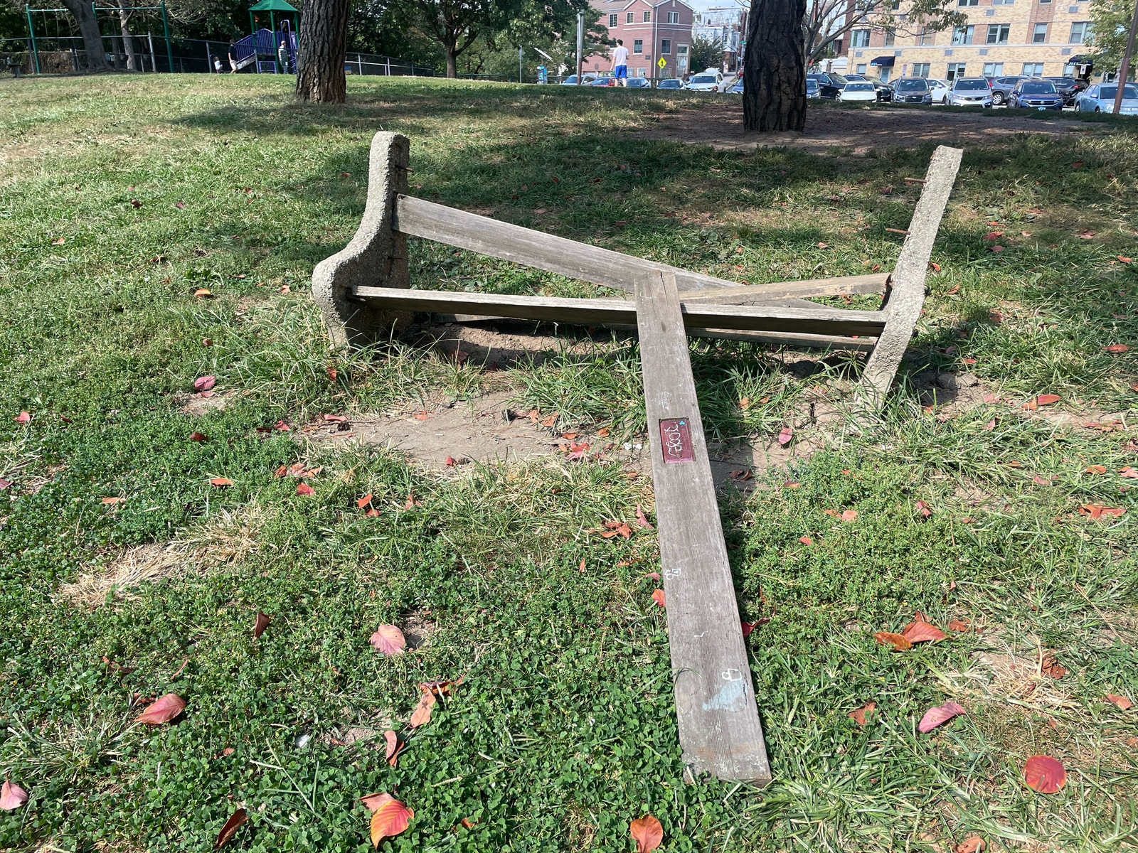 Photographic documentation of the work as submitted to the city's 311 record.