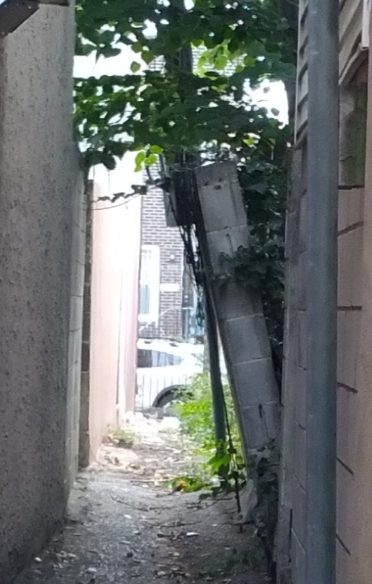Photographic documentation of the work as submitted to the city's 311 record.
