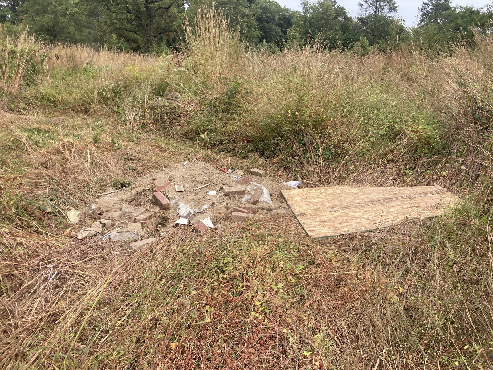 Photographic documentation of the work as submitted to the city's 311 record.