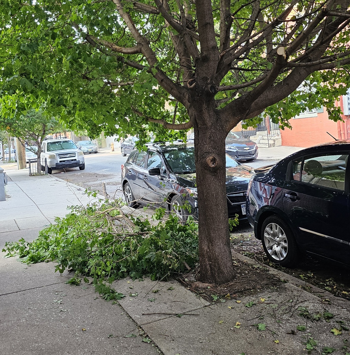 Photographic documentation of the work as submitted to the city's 311 record.