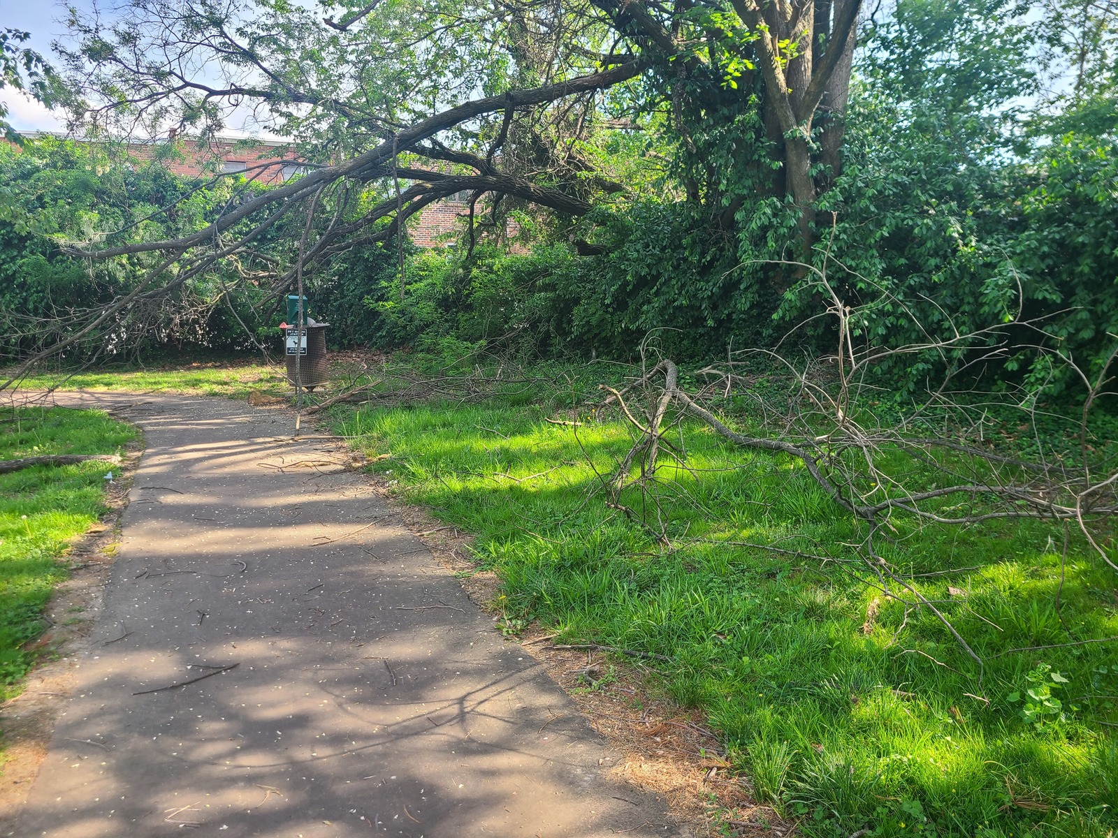 Photographic documentation of the work as submitted to the city's 311 record.