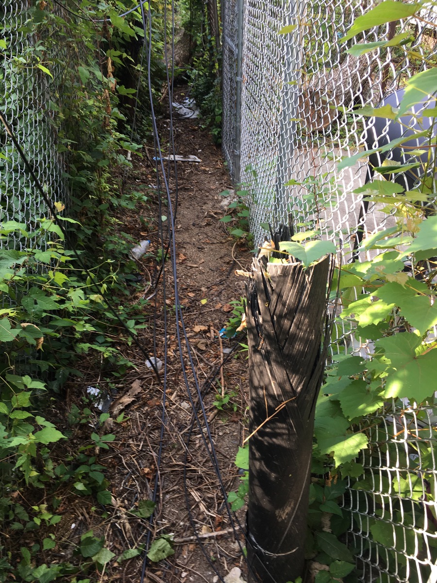 Photographic documentation of the work as submitted to the city's 311 record.