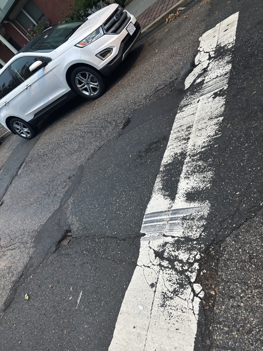 Photographic documentation of the work as submitted to the city's 311 record.