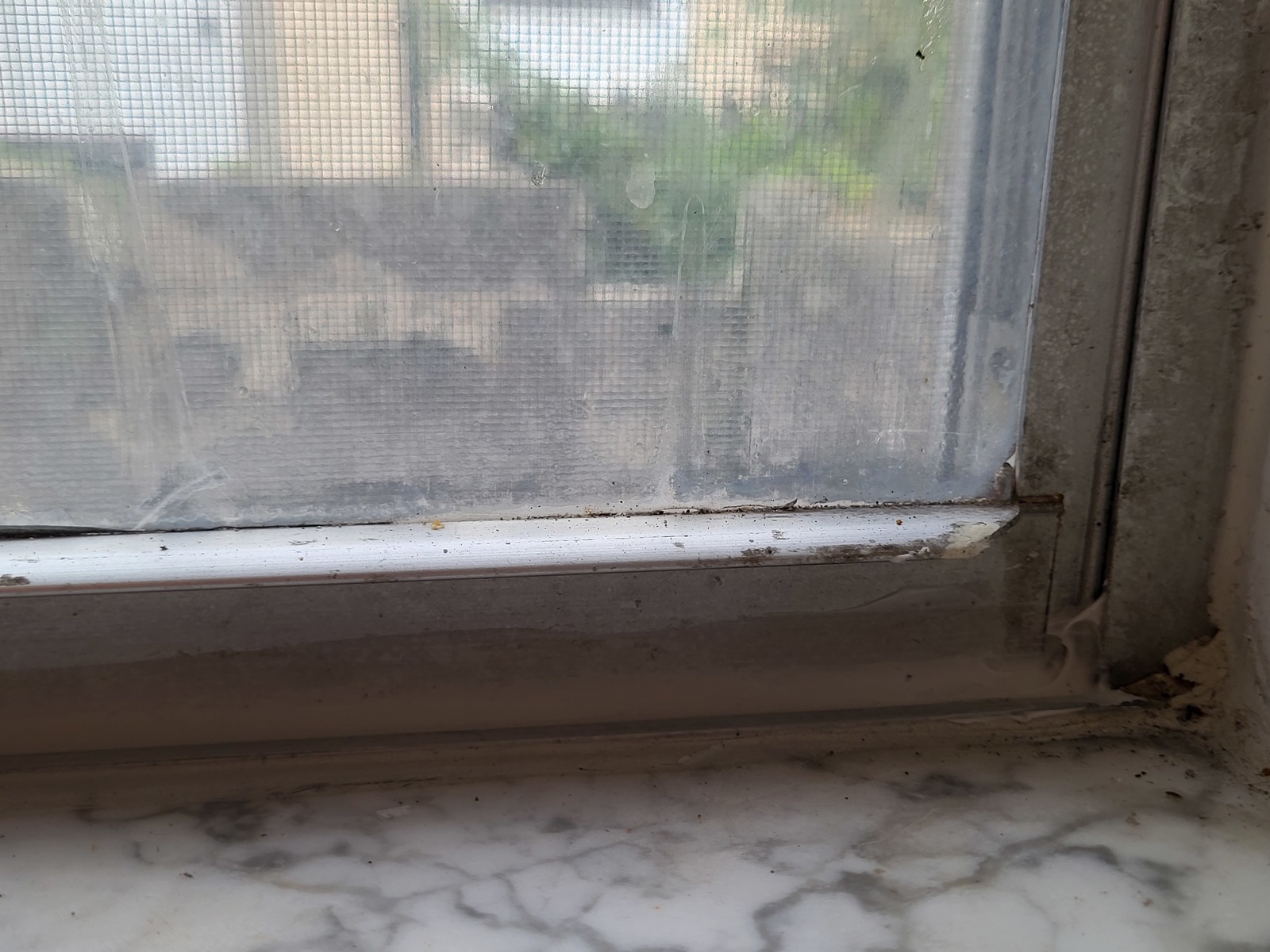 Photographic documentation of the work as submitted to the city's 311 record.