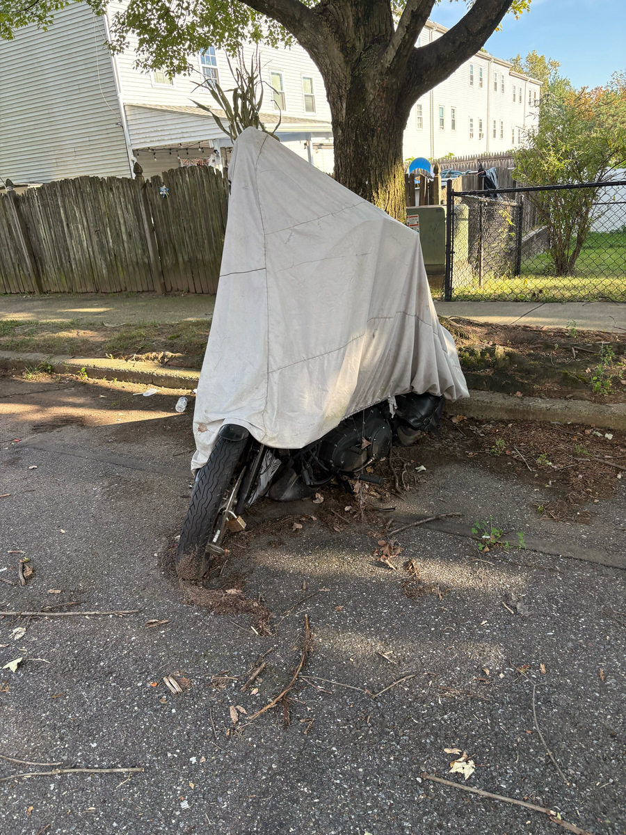 Photographic documentation of the work as submitted to the city's 311 record.