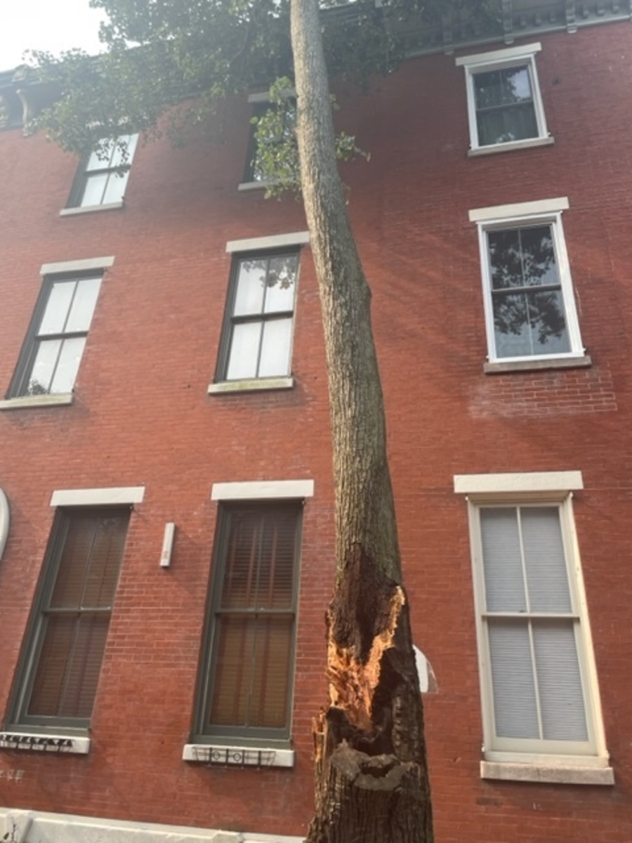 Photographic documentation of the work as submitted to the city's 311 record.