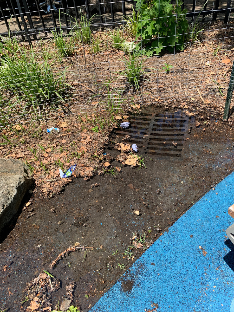 Photographic documentation of the work as submitted to the city's 311 record.