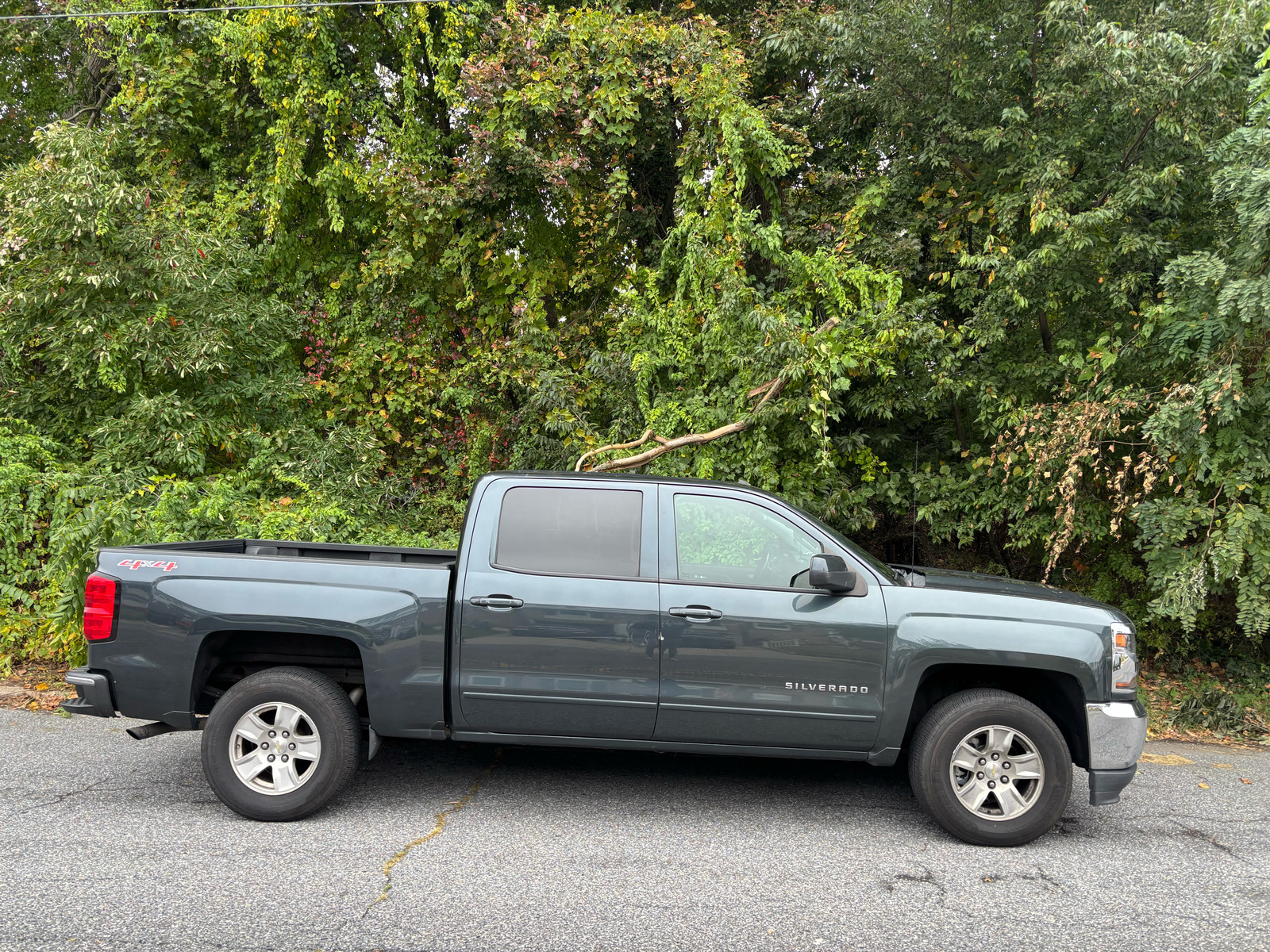 Photographic documentation of the work as submitted to the city's 311 record.