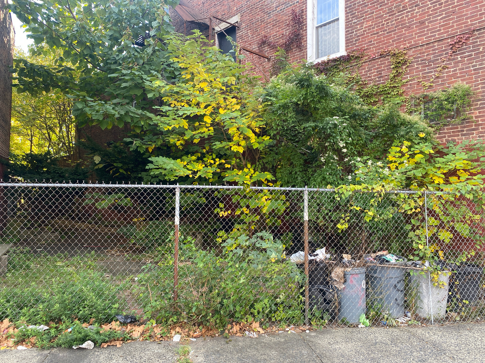 Photographic documentation of the work as submitted to the city's 311 record.