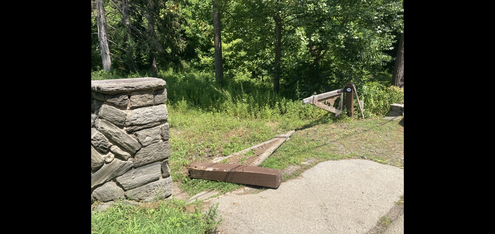 Photographic documentation of the work as submitted to the city's 311 record.