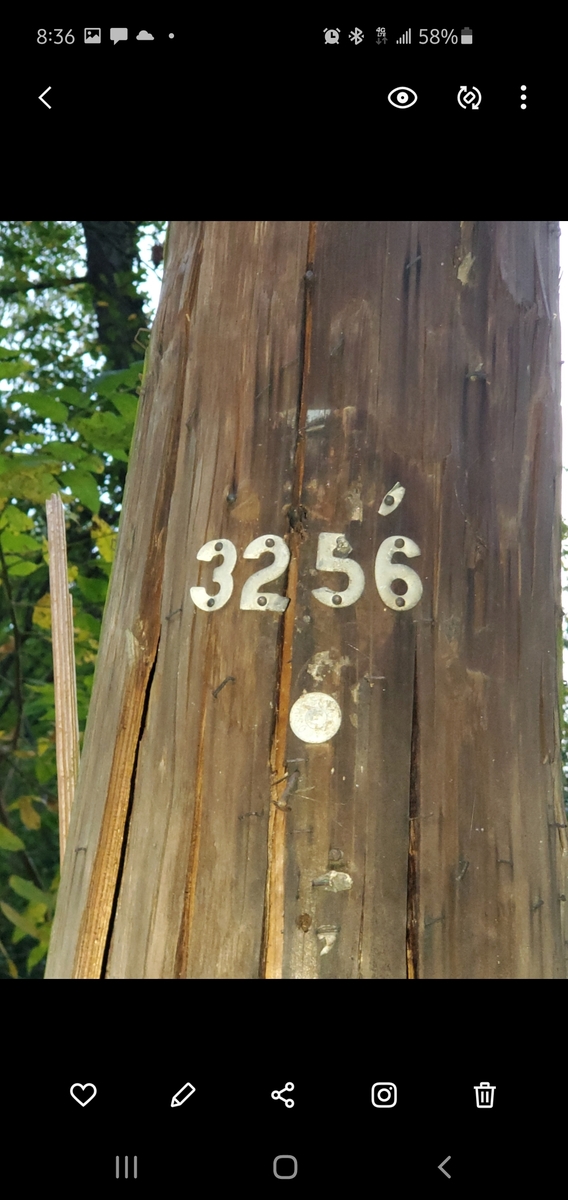Photographic documentation of the work as submitted to the city's 311 record.