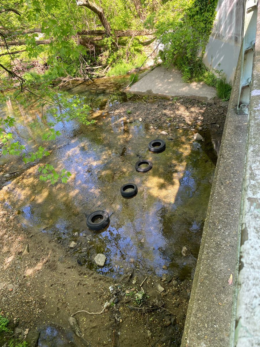 Photographic documentation of the work as submitted to the city's 311 record.