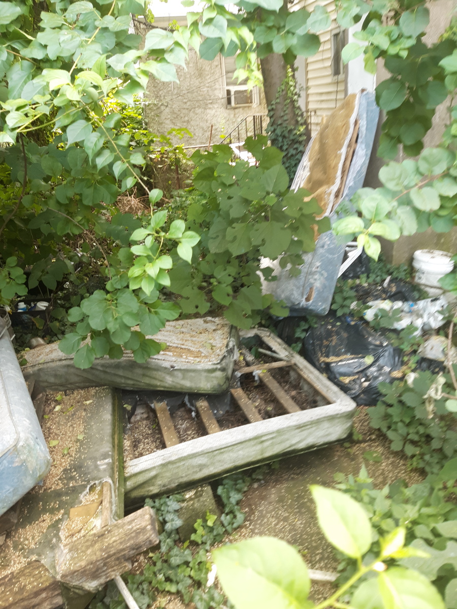 Photographic documentation of the work as submitted to the city's 311 record.
