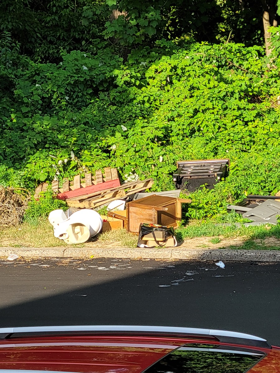 Photographic documentation of the work as submitted to the city's 311 record.