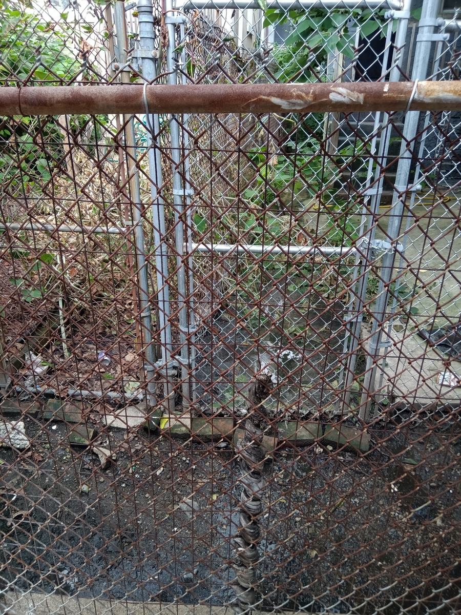 Photographic documentation of the work as submitted to the city's 311 record.