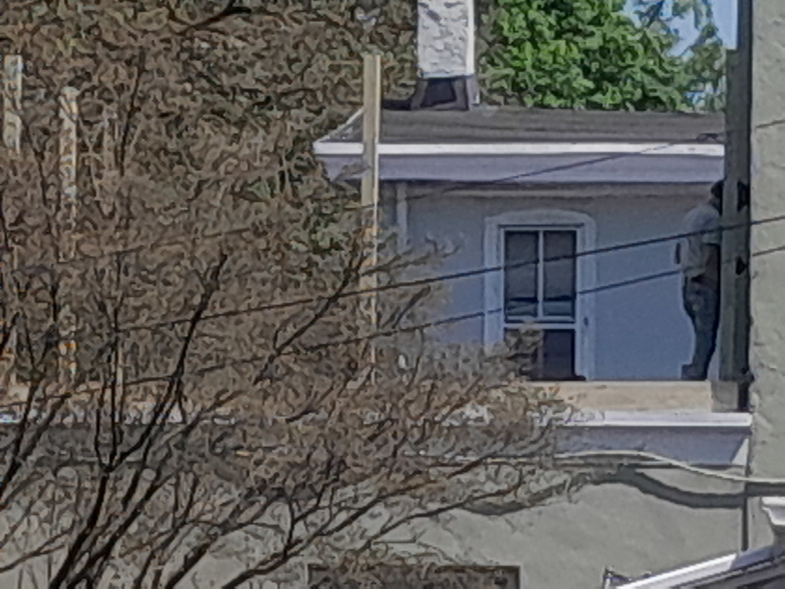 Photographic documentation of the work as submitted to the city's 311 record.