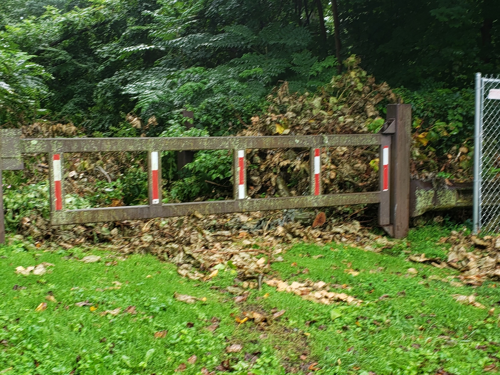 Photographic documentation of the work as submitted to the city's 311 record.