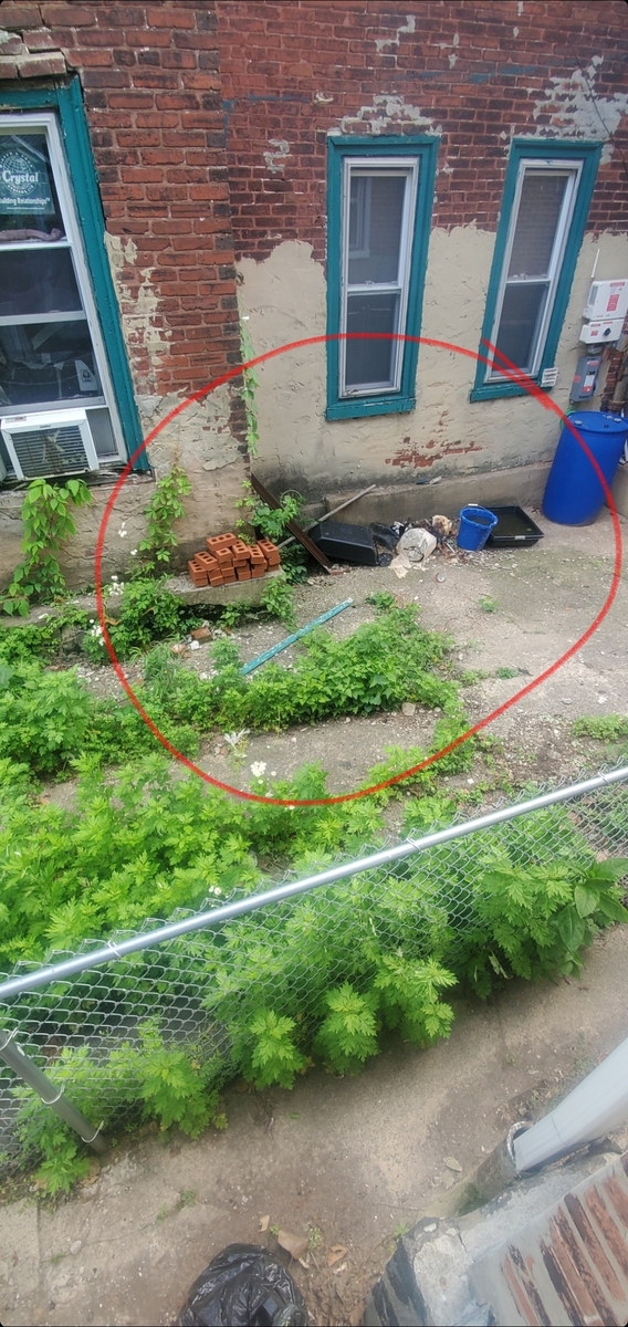Photographic documentation of the work as submitted to the city's 311 record.