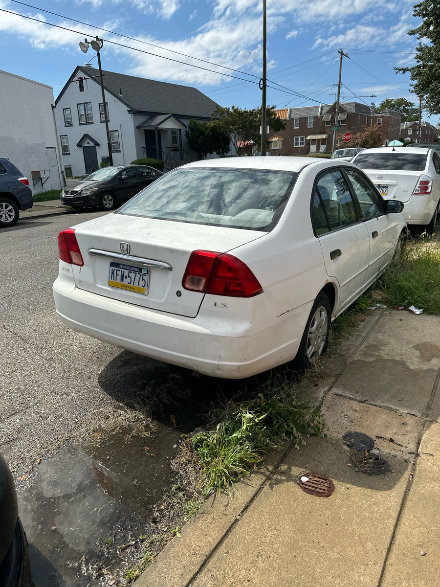 Photographic documentation of the work as submitted to the city's 311 record.
