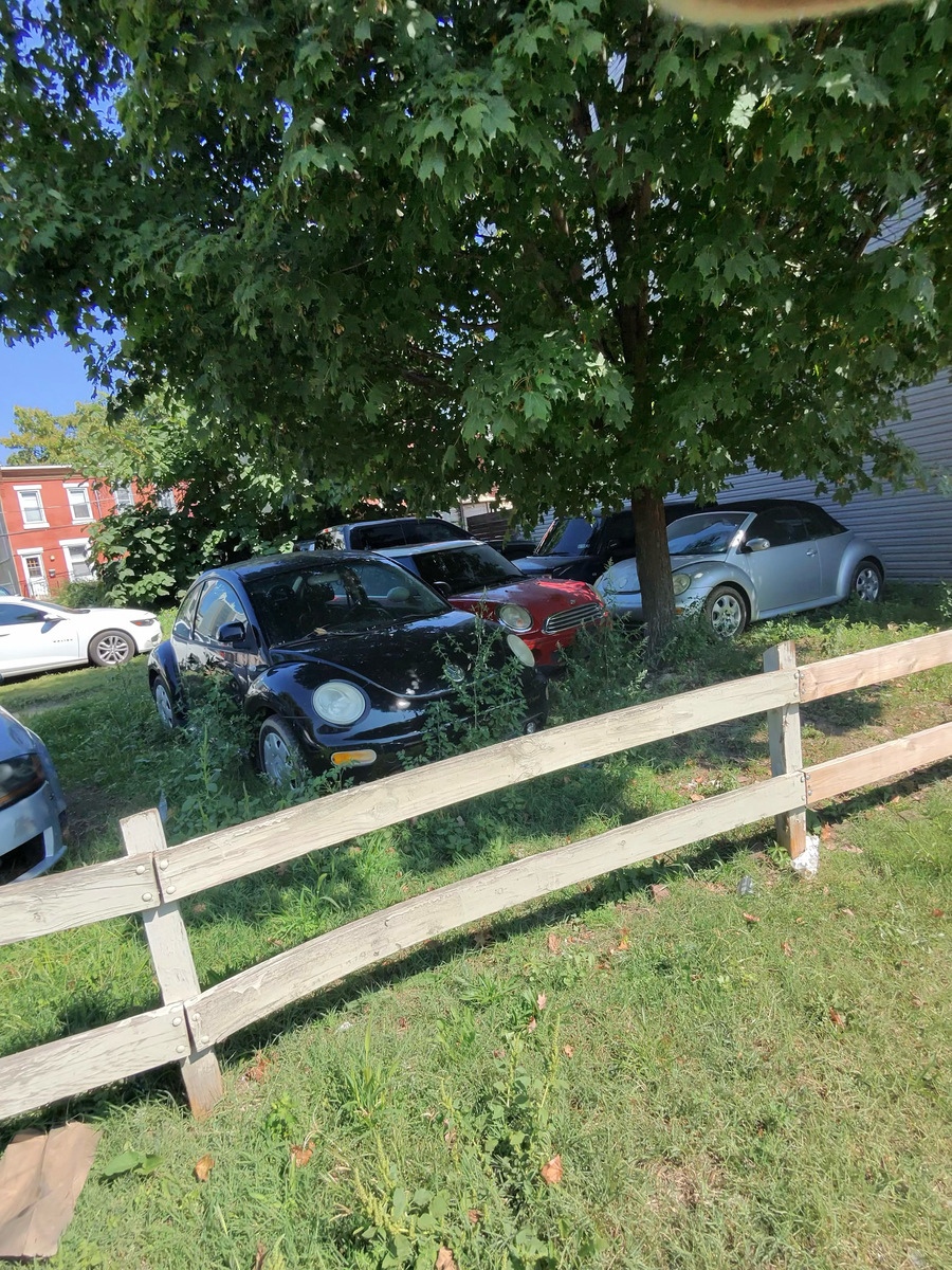 Photographic documentation of the work as submitted to the city's 311 record.