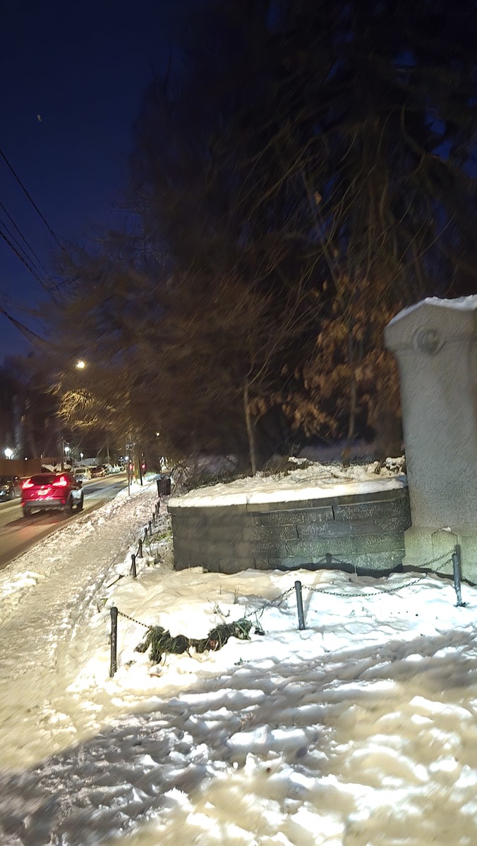 Photographic documentation of the work as submitted to the city's 311 record.