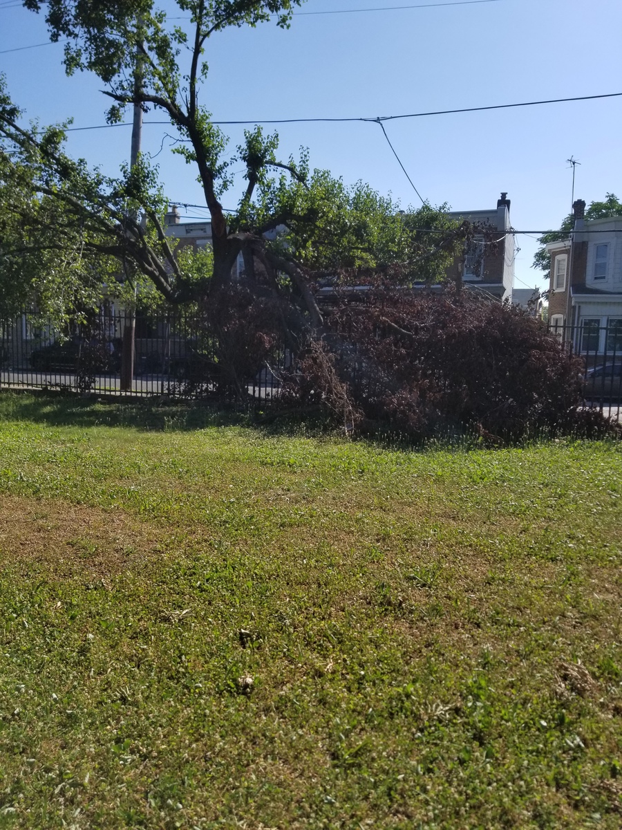 Photographic documentation of the work as submitted to the city's 311 record.
