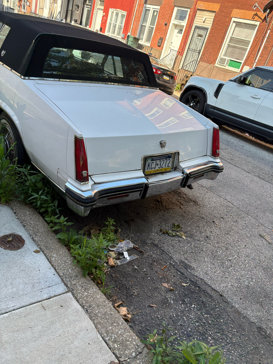Photographic documentation of the work as submitted to the city's 311 record.