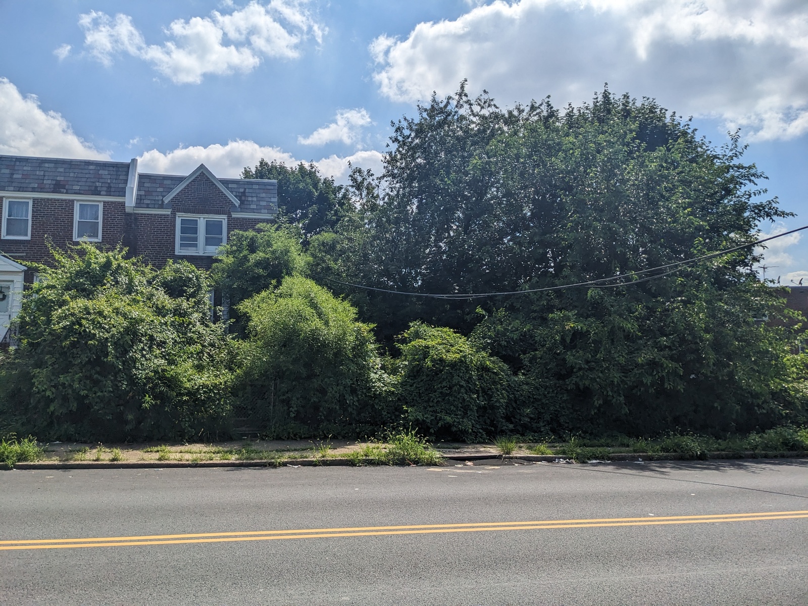Photographic documentation of the work as submitted to the city's 311 record.