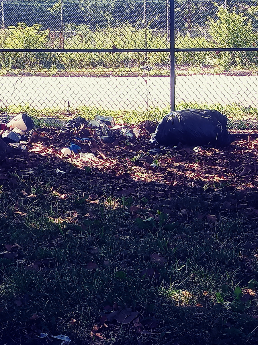 Photographic documentation of the work as submitted to the city's 311 record.