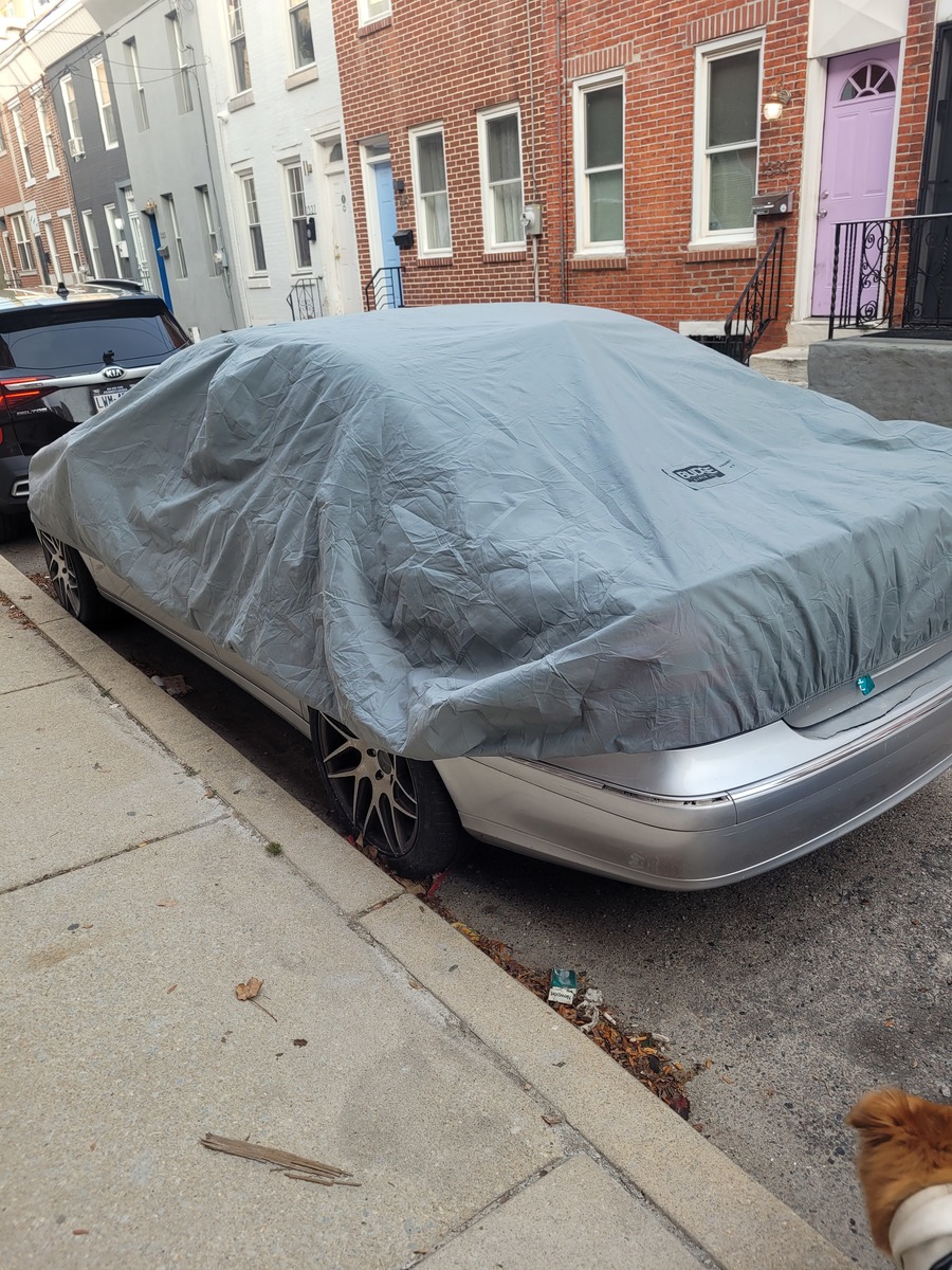 Photographic documentation of the work as submitted to the city's 311 record.