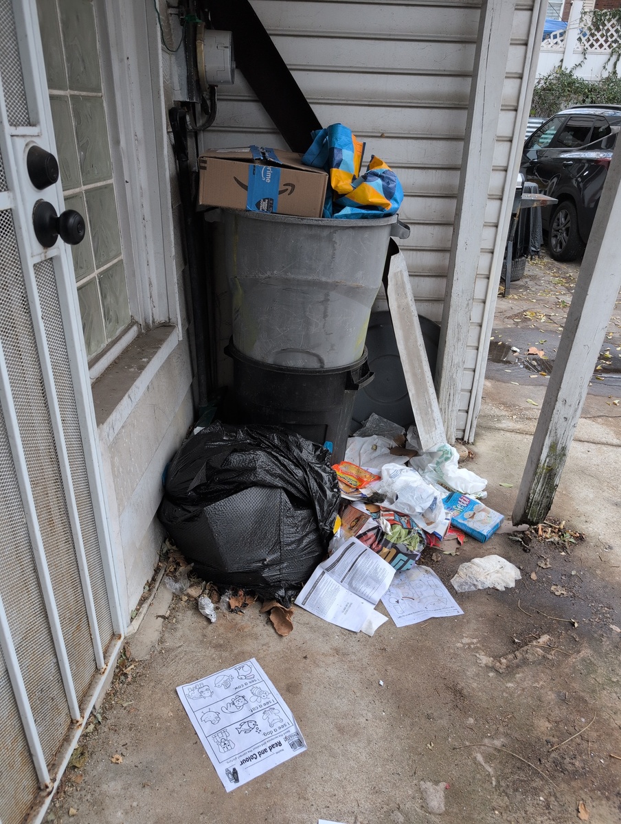 Photographic documentation of the work as submitted to the city's 311 record.
