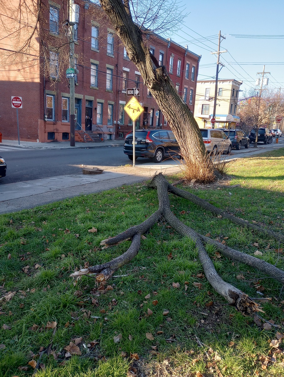 Photographic documentation of the work as submitted to the city's 311 record.