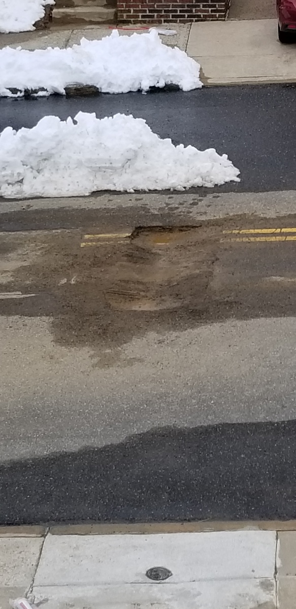 Photographic documentation of the work as submitted to the city's 311 record.