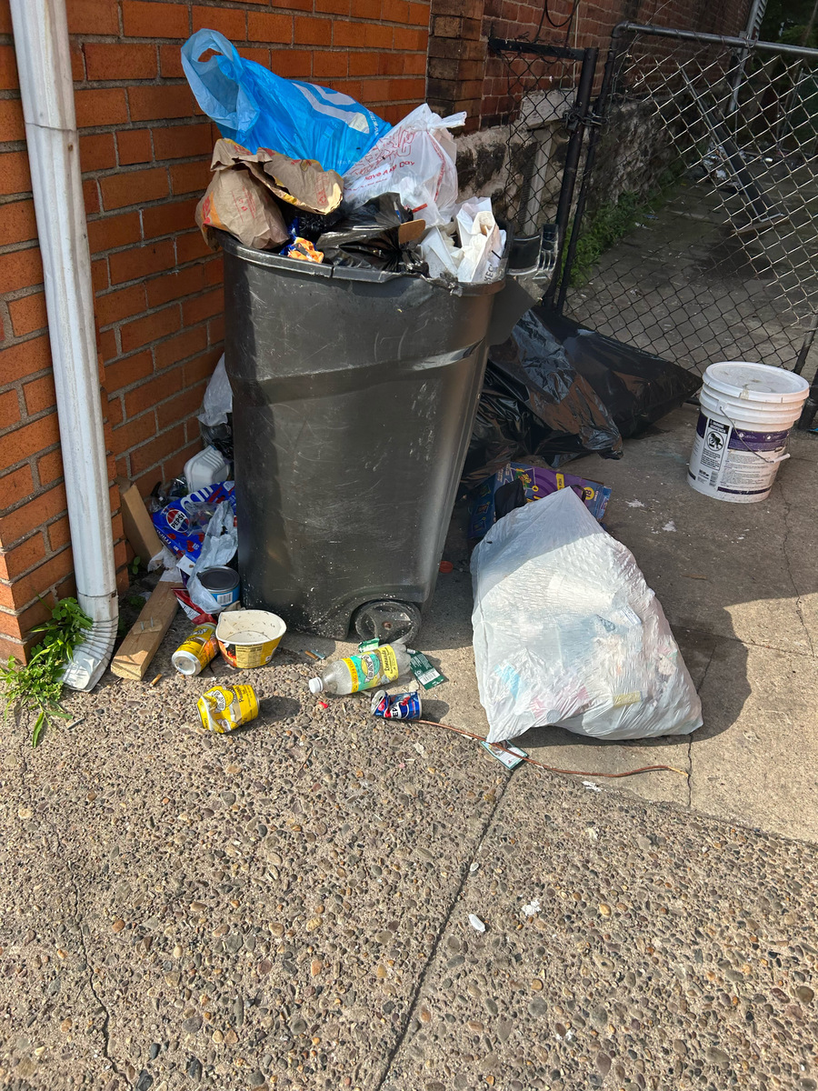 Photographic documentation of the work as submitted to the city's 311 record.