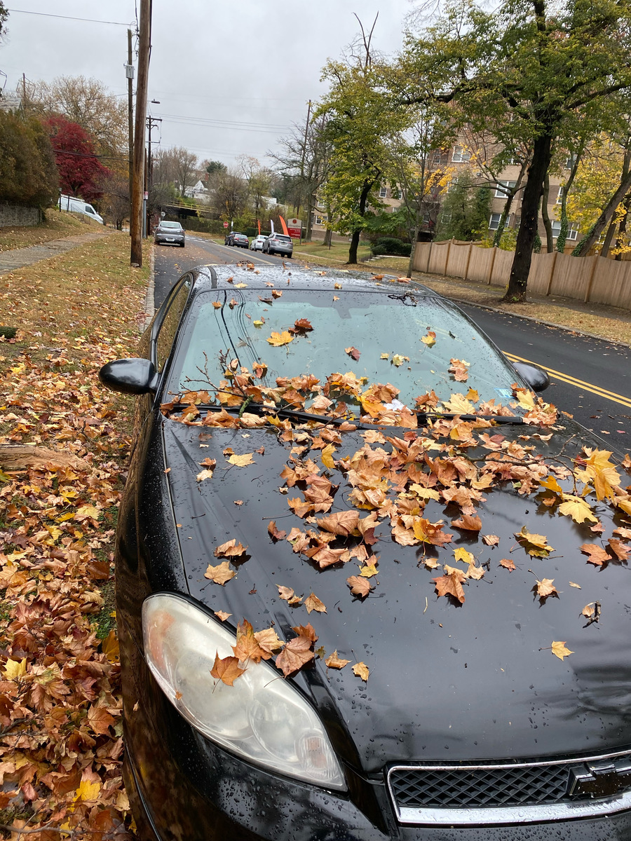Photographic documentation of the work as submitted to the city's 311 record.