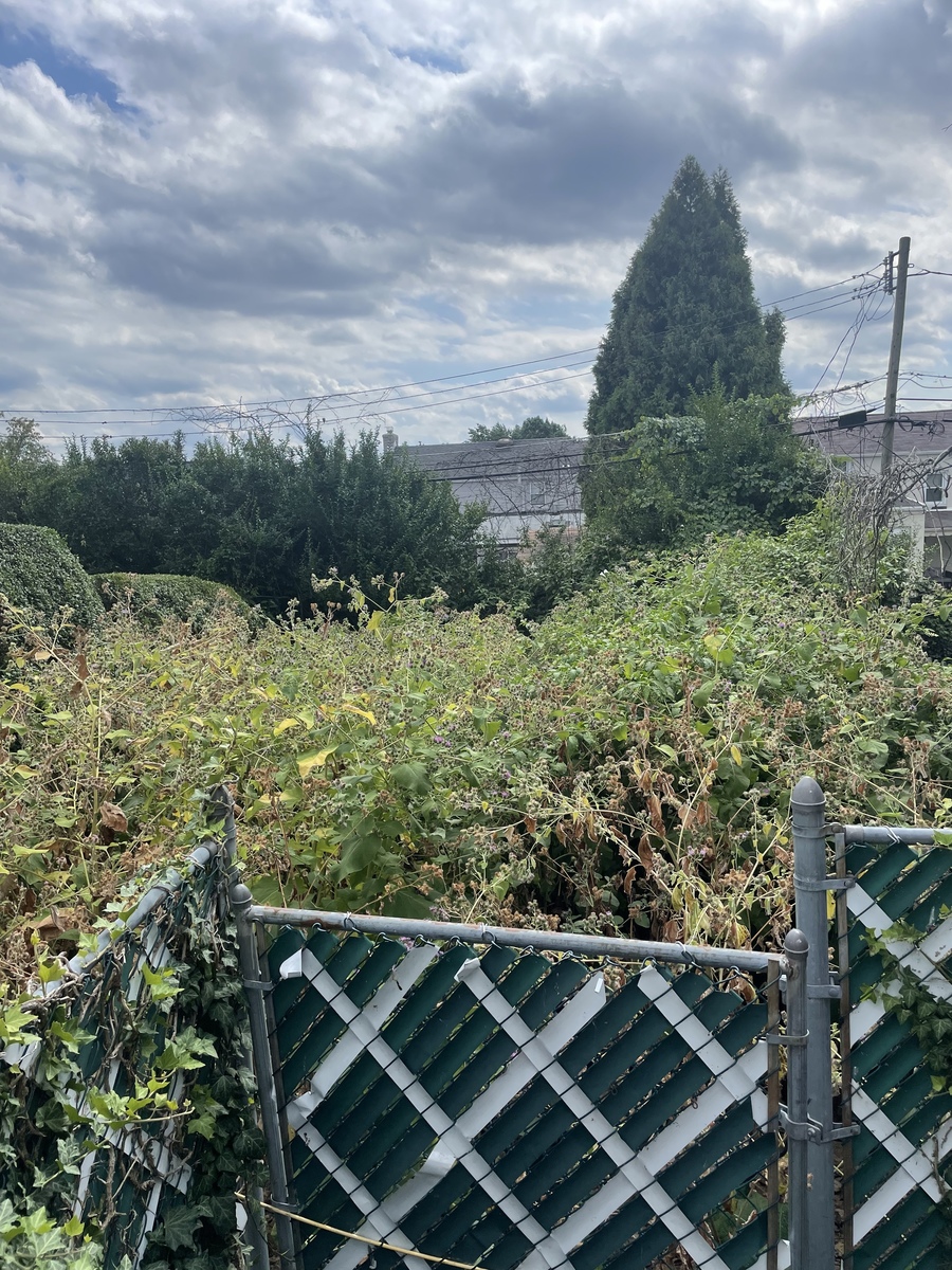 Photographic documentation of the work as submitted to the city's 311 record.