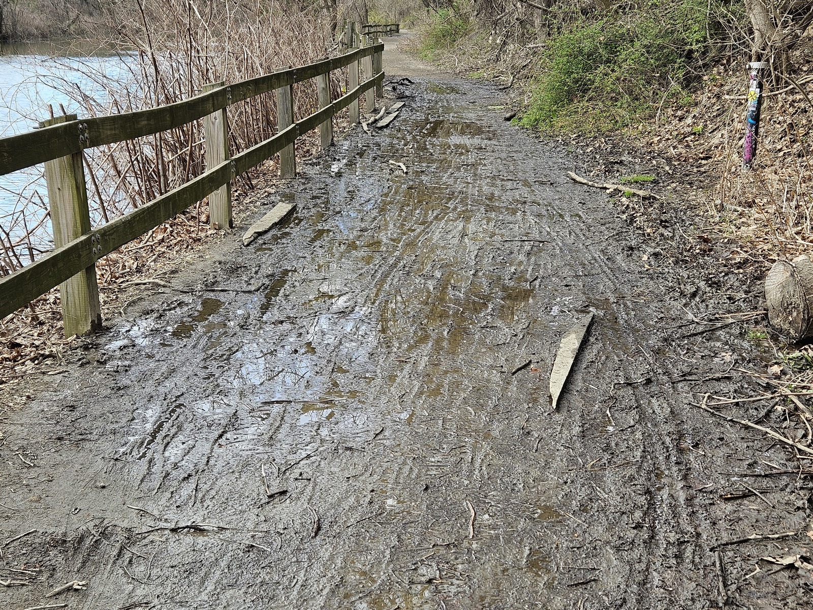 Photographic documentation of the work as submitted to the city's 311 record.