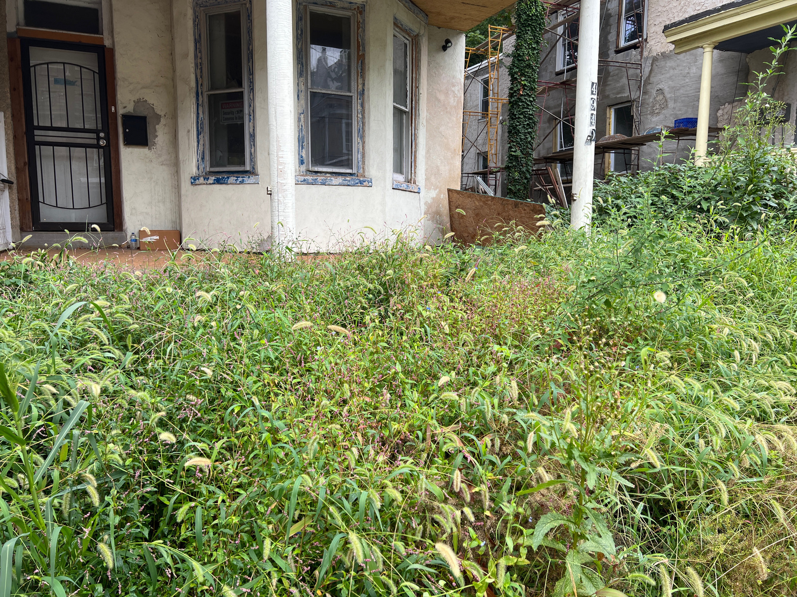 Photographic documentation of the work as submitted to the city's 311 record.