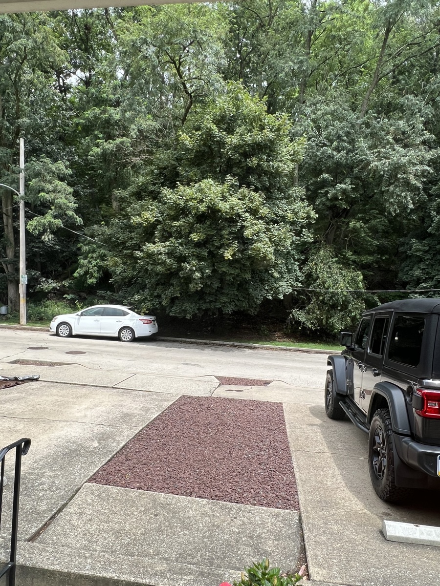 Photographic documentation of the work as submitted to the city's 311 record.