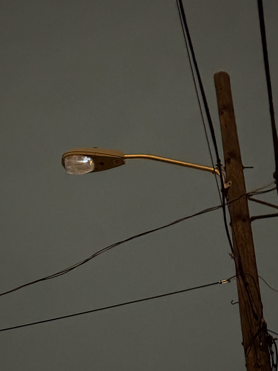 Photographic documentation of the work as submitted to the city's 311 record.