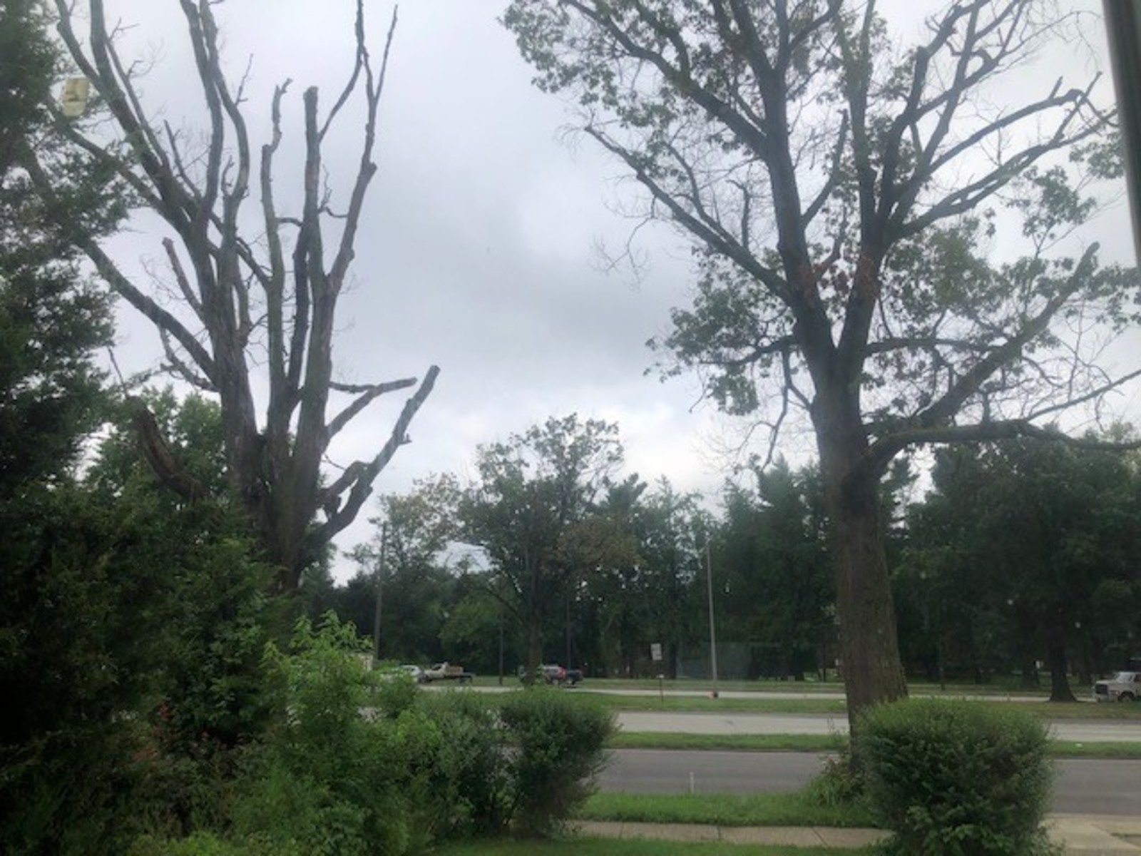 Photographic documentation of the work as submitted to the city's 311 record.
