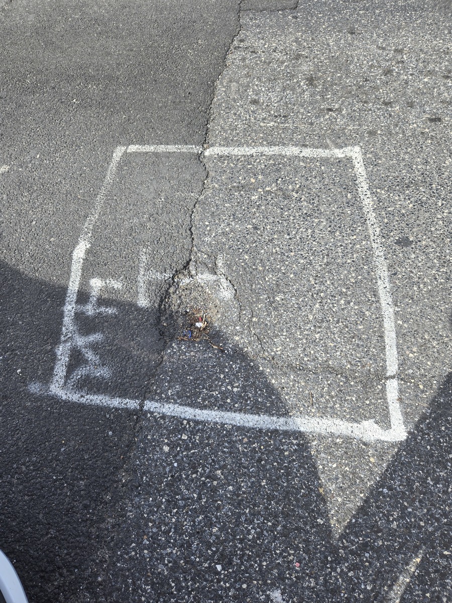 Photographic documentation of the work as submitted to the city's 311 record.