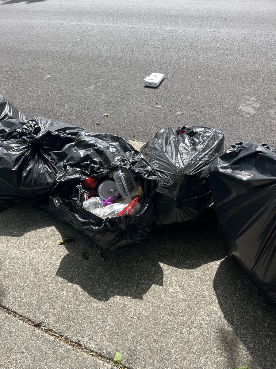 Photographic documentation of the work as submitted to the city's 311 record.