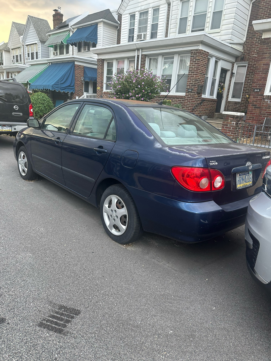 Photographic documentation of the work as submitted to the city's 311 record.
