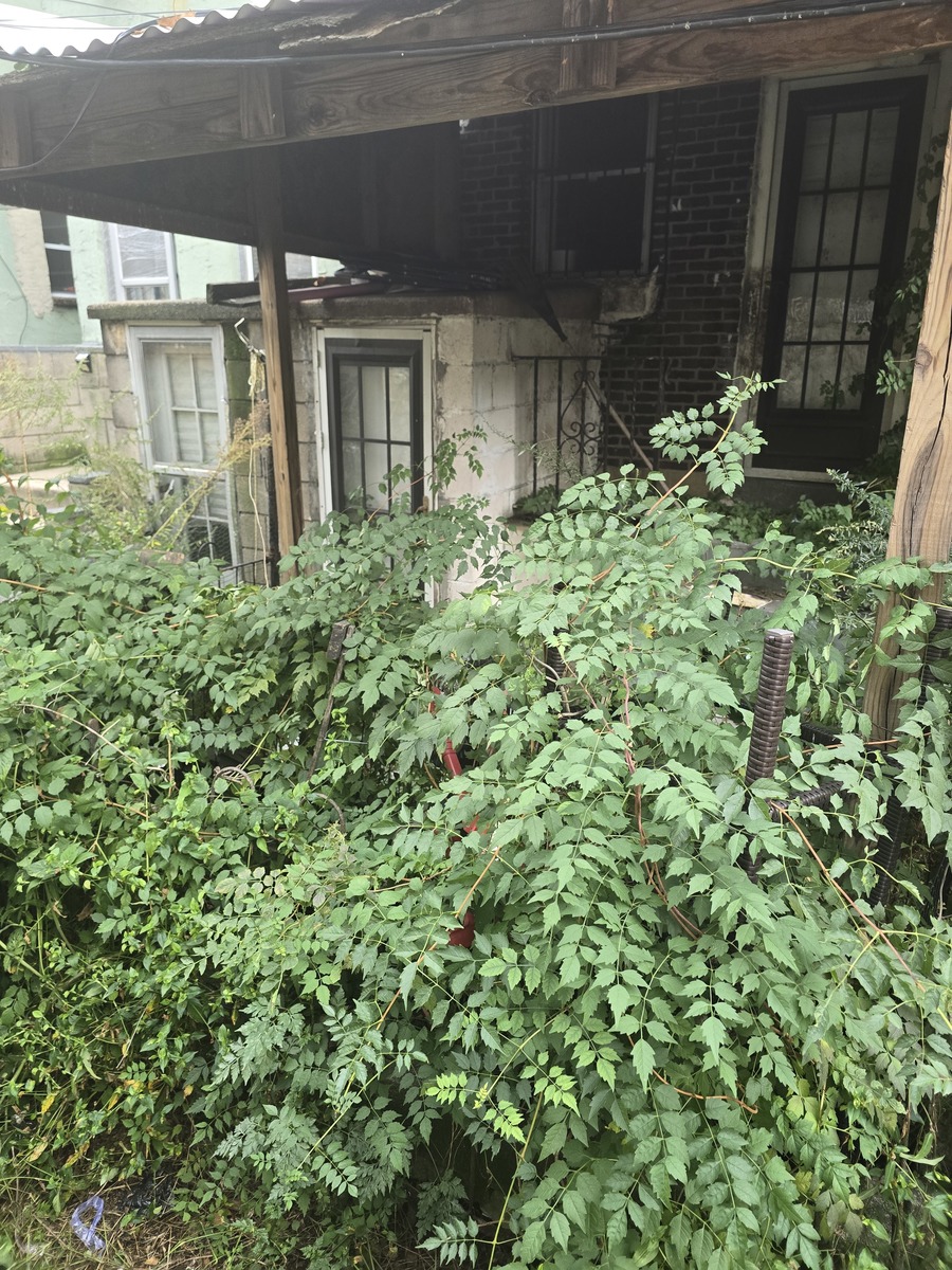 Photographic documentation of the work as submitted to the city's 311 record.