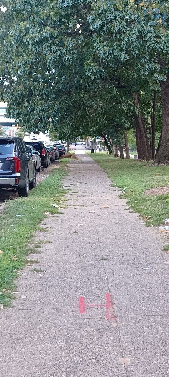 Photographic documentation of the work as submitted to the city's 311 record.