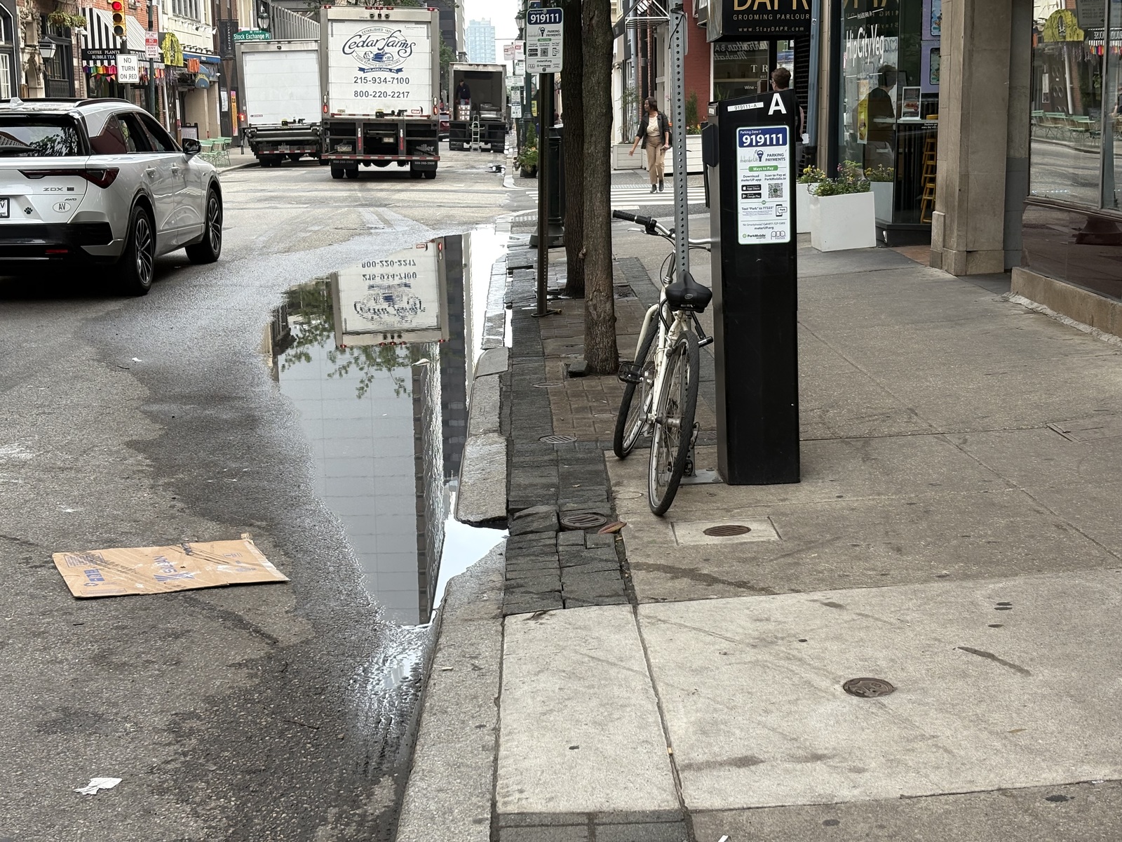 Photographic documentation of the work as submitted to the city's 311 record.