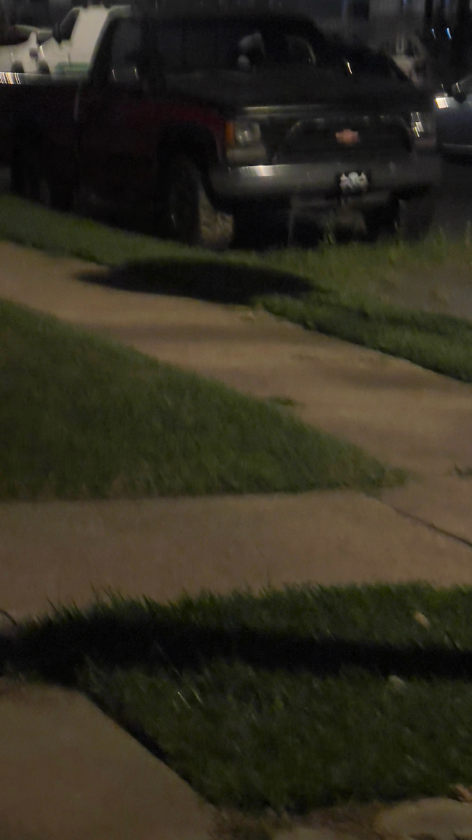 Photographic documentation of the work as submitted to the city's 311 record.