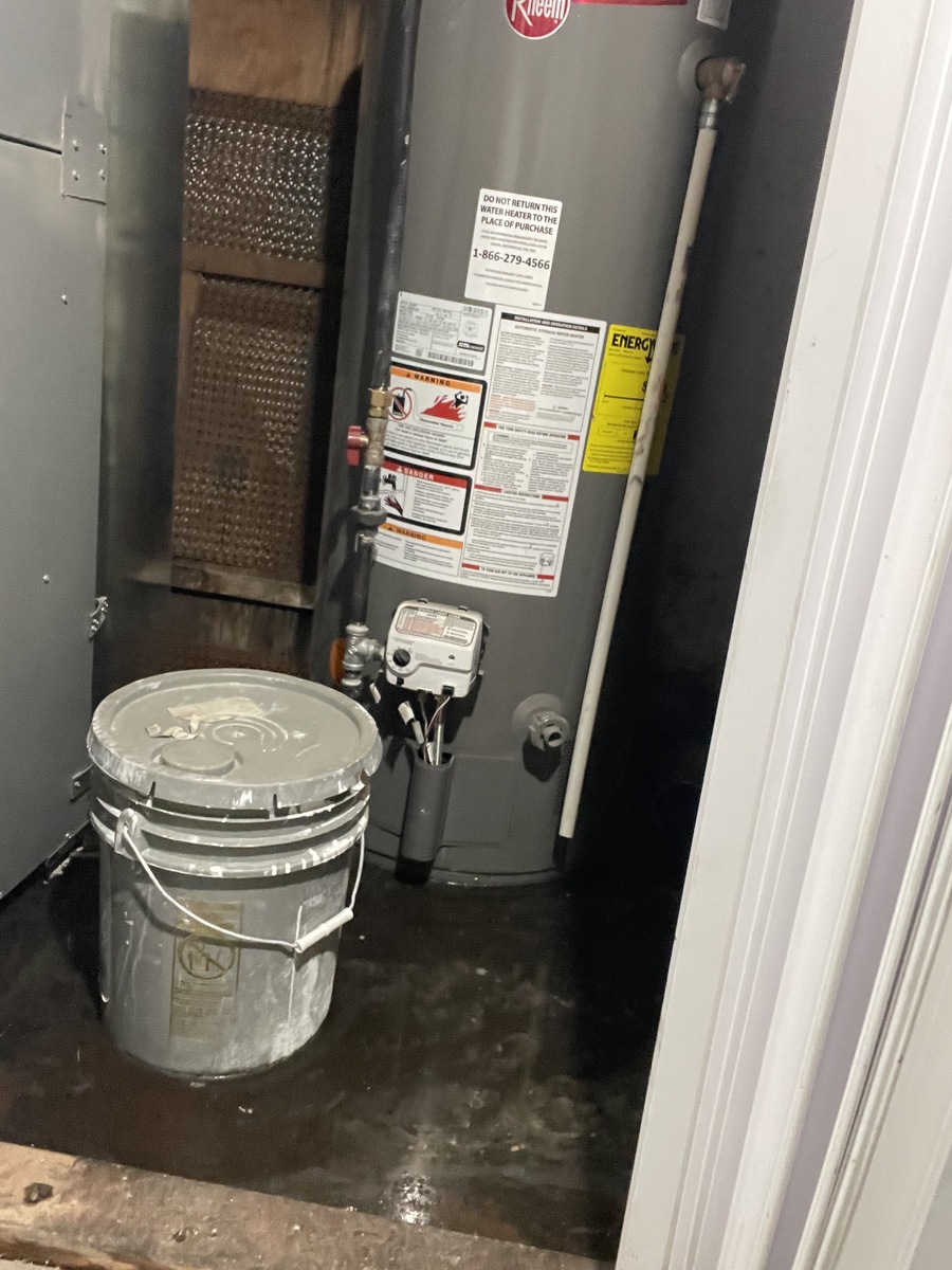 Photographic documentation of the work as submitted to the city's 311 record.