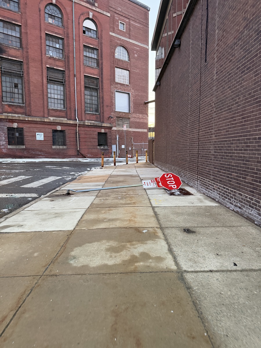 Photographic documentation of the work as submitted to the city's 311 record.